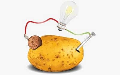A Guide to the Potato Light Bulb Experiment | Potato Power